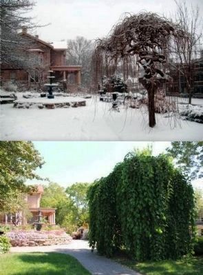 Fountain and the Timothy Brown House in Winter and Summer image. Click for full size.