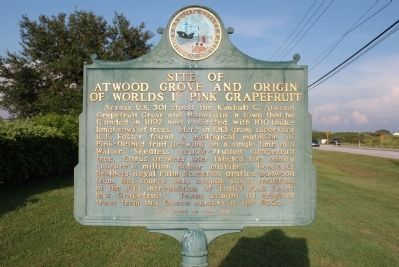 Site of Atwood Grove and Origin of World's 1st Pink Grapefruit Marker Side 1. Click for full size. Site of Atwood Grove and Origin of World's 1st Pink Grapefruit Marker Side 1 image. Click for full size.