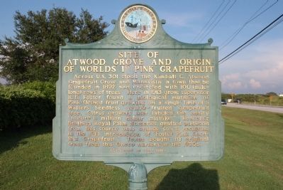 Site of Atwood Grove and Origin of World's 1st Pink Grapefruit Marker Side 1 image. Click for full size.