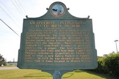 Grapefruit Introduced to Florida in 1846 Marker Side 2 image. Click for full size.