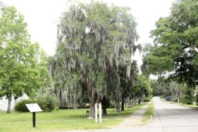 Charleston Naval Hospital Historic District Marker along Turnbull Avenue looking east image. Click for full size.