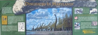 Dinosaurs in Maryland! Marker. Click for full size. Dinosaurs in Maryland! Marker image. Click for full size.