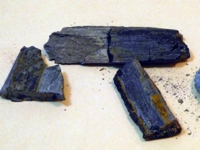 Lignized Fossil Plant Material. Click for full size. Lignized Fossil Plant Material image. Click for full size.