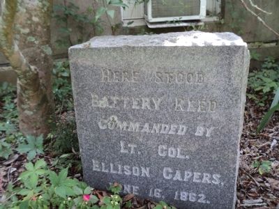 Battery Reed Marker. Click for full size. Battery Reed Marker image. Click for full size.