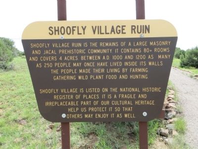 Shoofly Village Ruin Marker image. Click for full size.