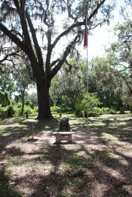 Townsend House Cemetery Confederate Memorial. Click for full size. Townsend House Cemetery Confederate Memorial image. Click for full size.