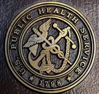 The Public Health Service Seal image. Click for full size.