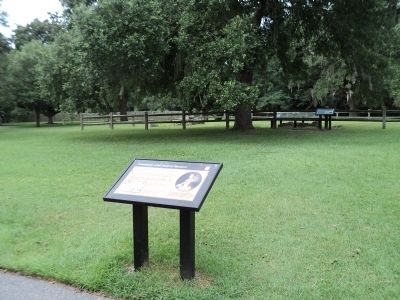 Foundations of the Southern Plantation Marker image. Click for full size.