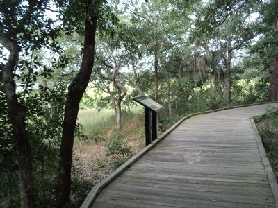 Marker at Charles Towne Landing image. Click for full size.