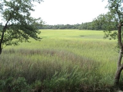 View from the Marker image. Click for full size.
