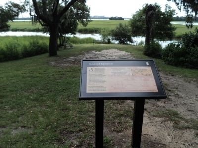 Postponed Aspirations Marker image. Click for full size.