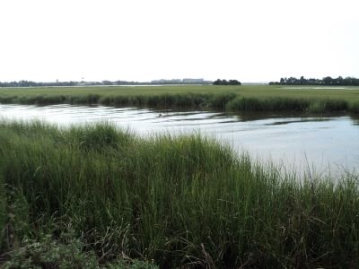 View from the Marker image. Click for full size.