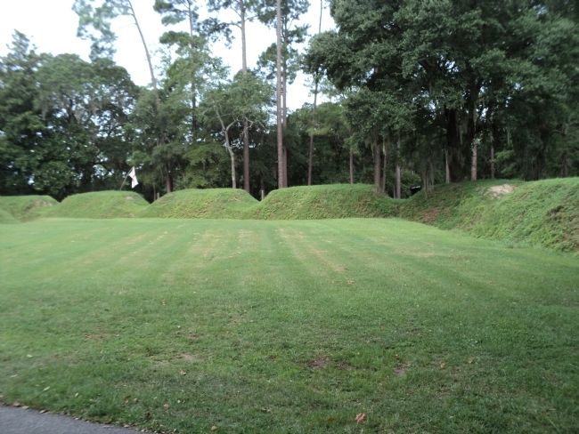 Exterior View of the Charles Towne Fortifications image. Click for full size.