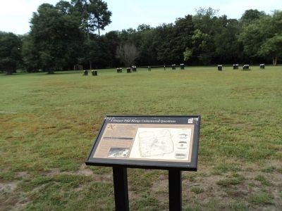 A Unique Find Brings Unanswered Questions Marker image. Click for full size.