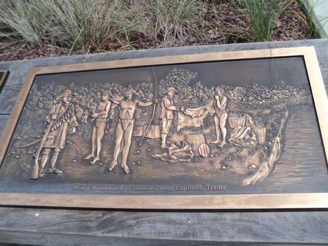 Dr. Henry Woodward Plaque image. Click for full size.