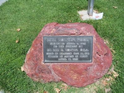 Lee Tucker Pool Marker image. Click for full size.