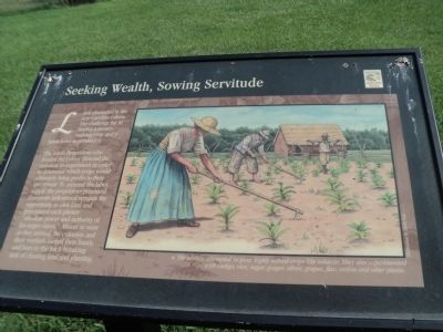 Seeking, Wealth, Sowing Servitude Marker image. Click for full size.