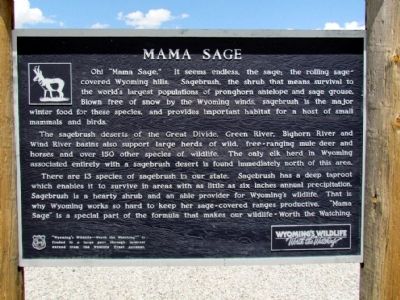 Mama Sage Marker image. Click for full size.