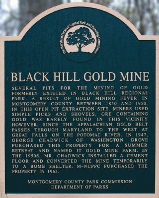 Black Hill Gold Mine Marker image. Click for full size.