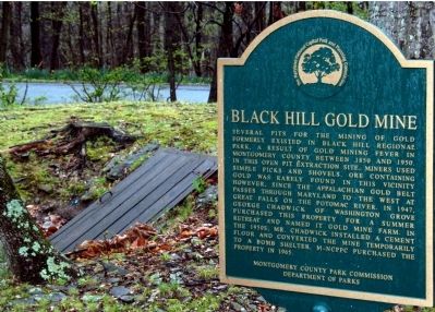 Black Hill Gold Mine Marker image. Click for full size.