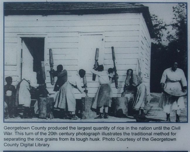 Georgetown County produced... image. Click for full size.