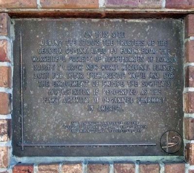 New World Medical Plants Marker. Click for full size. New World Medical Plants Marker image. Click for full size.