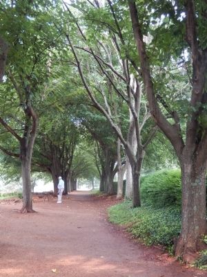 Mulberry Row. Click for full size. Mulberry Row image. Click for full size.