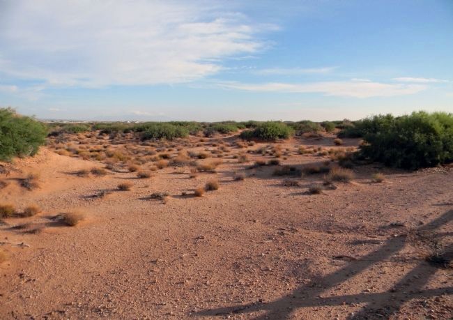 Butterfield Overland Trail. Click for full size. Butterfield Overland Trail image. Click for full size.