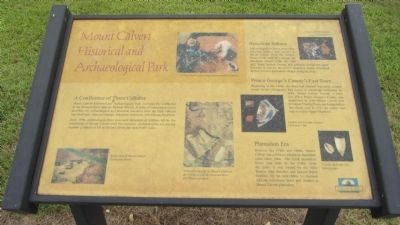 Mount Calvert Historical and Archaeological Park Marker image. Click for full size.