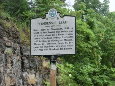 "Tennessee Lead" Marker image. Click for full size.