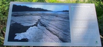 Maumee River Rapids Marker image. Click for full size.