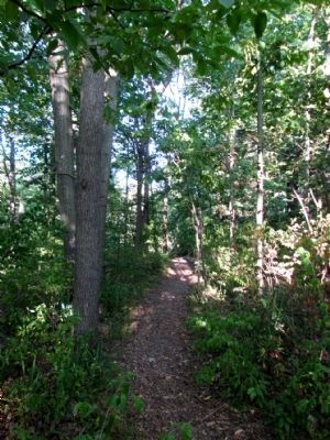 Trail through middle of cemetery leading to the Elkhart River. Click for full size. Trail through middle of cemetery leading to the Elkhart River image. Click for full size.