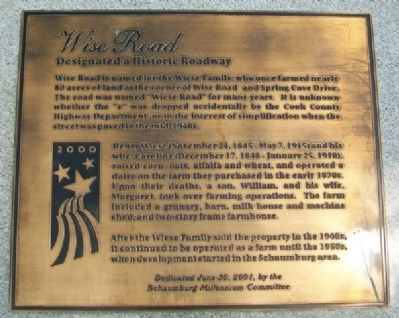 Wise Road Marker. Click for full size. Wise Road Marker image. Click for full size.