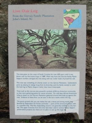 Live Oak Log Marker. Click for full size. Live Oak Log Marker image. Click for full size.