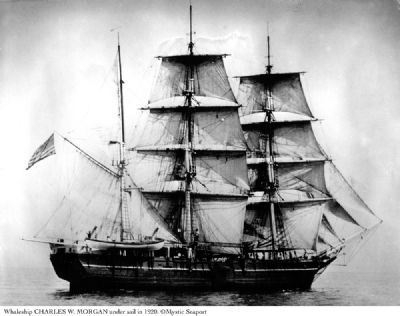 Charles W. Morgan under sail in 1920. Click for full size. Charles W. Morgan under sail in 1920 image. Click for full size.