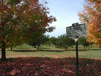 Peach Orchard Marker in situ image. Click for full size.