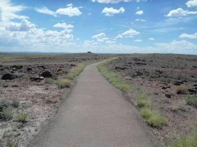 The 1/4 Mile Path to the Agate House image. Click for full size.