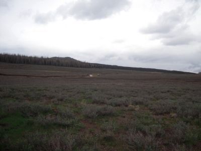 Cinder Cone and Lava Flows. Click for full size. Cinder Cone and Lava Flows image. Click for full size.