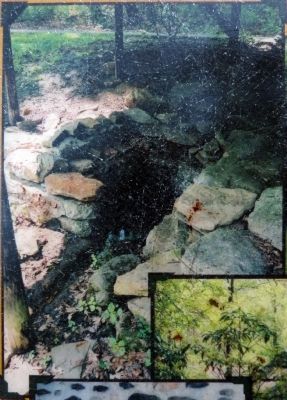 Washington Spring image. Click for full size.