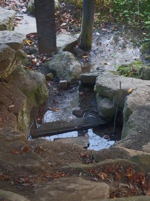 Washington Spring image. Click for full size.
