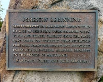 Forestry Beginning Marker image. Click for full size.