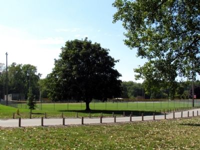 Softball Field in Shanklin Park. Click for full size. Softball Field in Shanklin Park image. Click for full size.