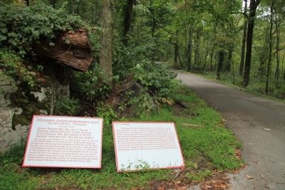 Stevenson's Division Marker. Click for full size. Stevenson's Division Marker image. Click for full size.