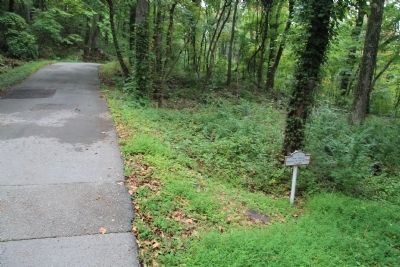 Final Line Marker. Click for full size. Final Line Marker image. Click for full size.