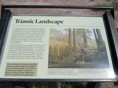 Triassic Landscape Marker image. Click for full size.