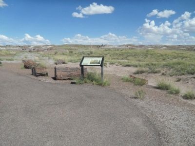 Triassic Landscape Marker image. Click for full size.