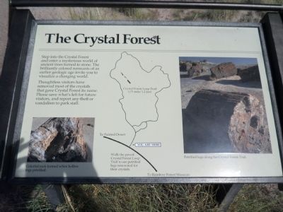 The Crystal Forest image. Click for full size.