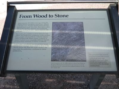 From Wood to Stone Marker image. Click for full size.
