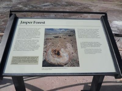 Jasper Forest Marker. Click for full size. Jasper Forest Marker image. Click for full size.