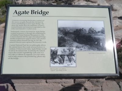 Agate Bridge Marker image. Click for full size.